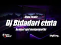 Download Lagu DJ BIDADARI CINTA || DJ Slow Bass Terbaru Viral 2021