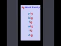English - ig Word Family