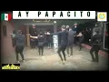Ay Papacito - Grupo Límite