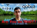 Tidal and Qobuz Are for Idiots