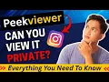 Peekviewer Glassagram Review Can You View Private Instagram