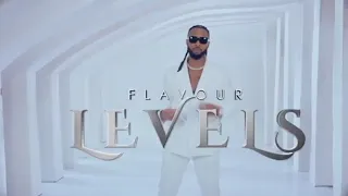 levels video by flavor fit cubana chife priest kanayo o kanayo zubby michael triller