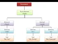 CLASS 29 - DOM JavaScript DOM Manipulation and Dynamic Changes Techtalk2004