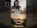 Download Lagu Ngenelela Nkosi- All Hill #reaction #3step #music #shorts #tiktok
