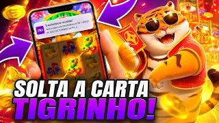 BANCA SILICONE SO JOGANDO NO TIGRINHO VAI BANCAR TIGRINHO BANCA O TIGRINHO QUE TÁ BANCANDO
