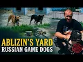 Inside Ablizin s Yard Dimitry s Russian Game Dog Kennel