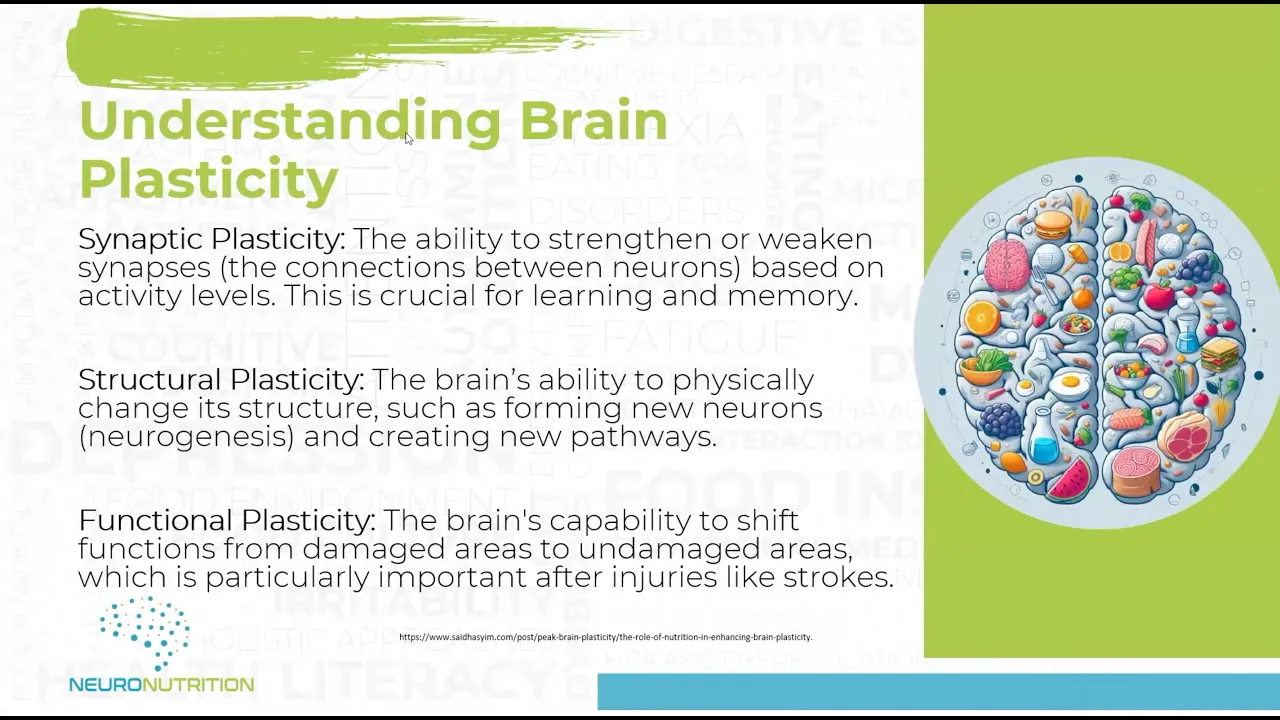 Neuroplasticity & Brain Injury - Part 1 of 2