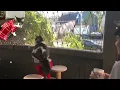 I bought an amazing for my cat