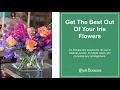 Whole Blossoms gives the best iris flower arrangements in your budget