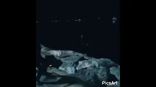 بس رح اشكي للبحر همي فيديوهات نكت 