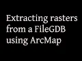 Extracting rasters from a FileGDB using ArcMap