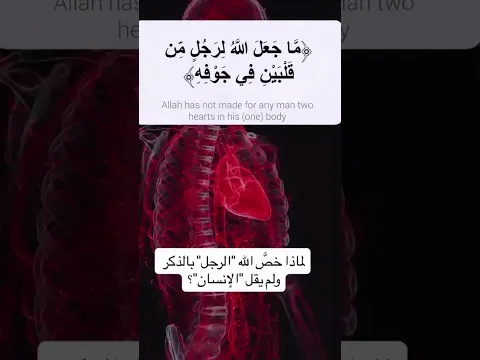 ﴿ مَا جَعَلَ اللَّهُ لِرَجُلٍ مِنْ قَلْبَيْنِ فِي جَوْفِهِ ﴾