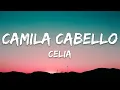 Lagu Camila Cabello - Celia (Lyrics)