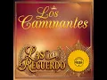 Amor Sin Palabras