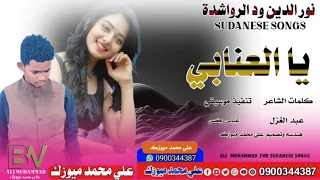 جديد الفنان نور الدين ود الرواشدة ورح طمني يا العنابي New 2025 اغاني سودانية 2025 اغاني 