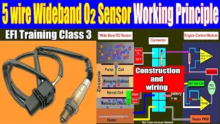 5 wire Wideband o2 sensor construction and wiring Lambda sensor Oxygen sensor EFI electrician