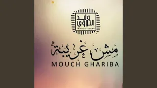 وليد التلاوي   مش غريبة دندنها