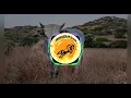 Download Lagu Cezar e Paulinho - Morena do Rodeio | Sertanejo Raiz |