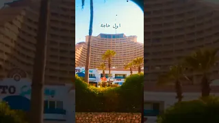 أول حاجة تحبها لنفسك السلام مع نفسك اقوال الشيخ الشعراوي 