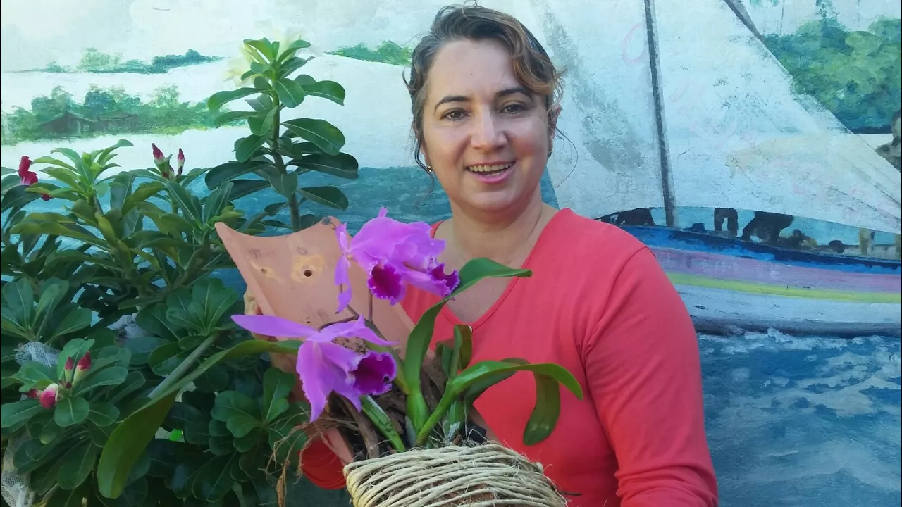 COMO PLANTAR ORQUÍDEA EM TELHA