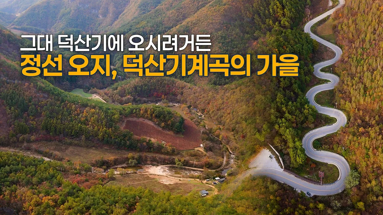 ep.18 가을이 깊어가는 정선 오지, 덕산기 계곡에 다녀왔습니다 | 숲속책방 | 덕산터 | 문치재 サムネイル