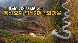 ep.18 가을이 깊어가는 정선 오지, 덕산기 계곡에 다녀왔습니다 | 숲속책방 | 덕산터 | 문치재 썸네일