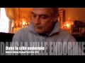 Dans la ville endormie - Pun K Uke 2014