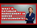 What Is Database Management in Server Environments - Server Logic Simplified