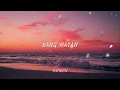 ZAHEEN - PROMISE (COVER)