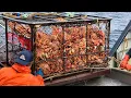 Download Lagu Amazing Catch Hundreds Tons Alaska King Crab With Modern Big Boat - Amazing Crab Fishing on the sea