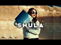 Download Lagu Bongo Freva Beat x Afro pop instrumental - Shula