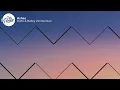 Diplo & Bailey Zimmerman - Ashes (Lyrics)