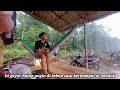 Download Lagu Di guyur hujan angin kencang saat di pondok kebun lanjut bermalam bersama ⁉️
