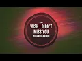 Mozambo, Antdot - Wish I Didn't Miss You