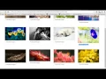 How2Create Bootstrap Responsive Portfolio Gallery Zoom Effect Image View With Use FancyBox