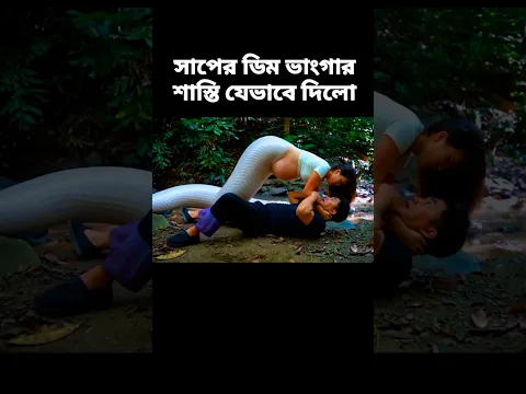 সাপের ডিম ভাংগার শাস্তি যেভাবে দিলো||Snake Punishment||#shortvideo #shorts #explaininbangla