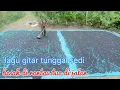 Download Lagu lagu gitar tunggal sumatra selatan sedi besak di rantau tuwo di jalan voc zainudin