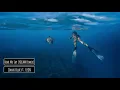 Jonas Blue ft. LEON - Hear Me Say (KREAM Remix)