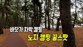 [노지차박 캠핑] 남열 해돋이 해수욕장 차박지! 갈매기 없는 바닷가의 충격적인 이유?! 썸네일