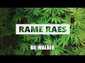 Download Lagu RAME RAES||LAGU ACARA TERBARU||BII WALBER🔉🌴