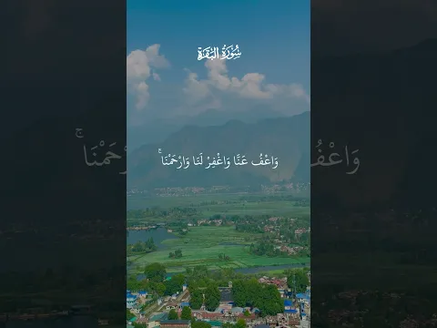 #القرآن_الكريم