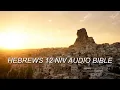 HEBREWS 12 NIV BIBLE with text