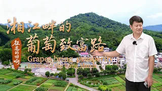 Xiangjiang River Battle spirit fuels rural vitalization in Quanzhou, Guangxi