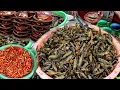 Download Lagu SAMBEL WADER PALING RAME SE INDONESIA!! BERKWINTAL\