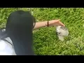 UNUSUAL MEMES COMPILATION V327