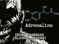 Download Lagu Metallica-Enter Sandman (Slowed-Reverb)