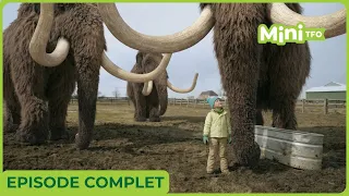 DINO DANA | EPISODE 5  | SAISON 4 | EN FRANCAIS