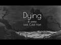 Download Lagu Dying - Lil Peep feat . Cold Hart [Lyrics]