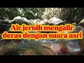 Download Lagu sungai kecil yang jernih dan dan deras .suara yang sangat cocok untuk terapi burung yang kurang jos