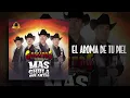 El Aroma De Tu Piel - Los Gallitos de Chihuahua